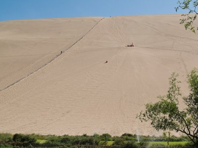 Sliding Down the Dune