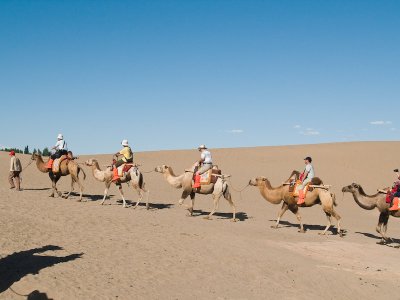 Camel Caravan