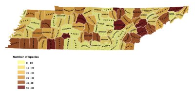 TN counties tally  (sample)