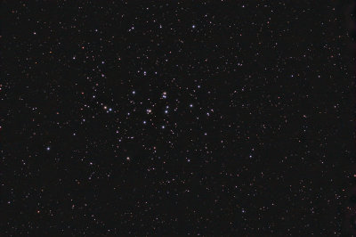 M44 The Behive Cluster