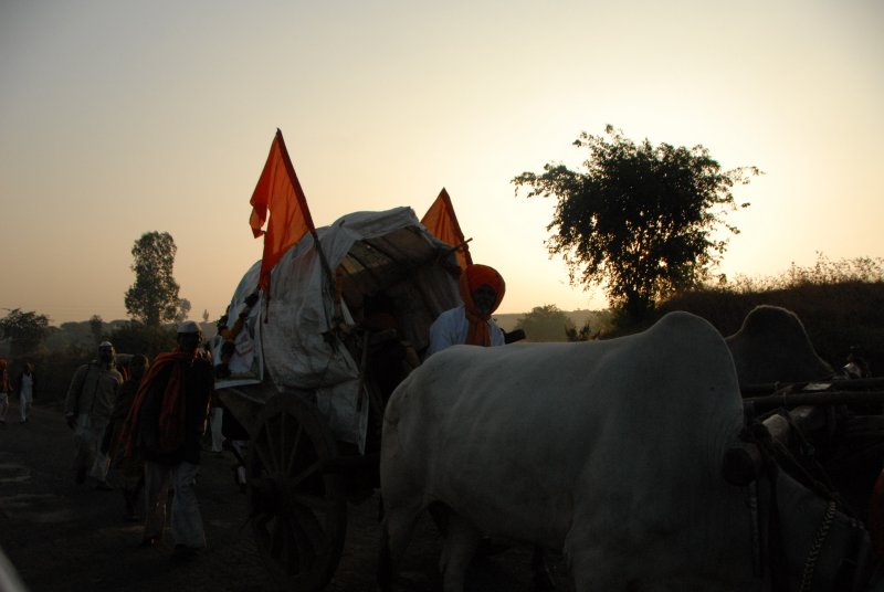DSC_1238.JPG
