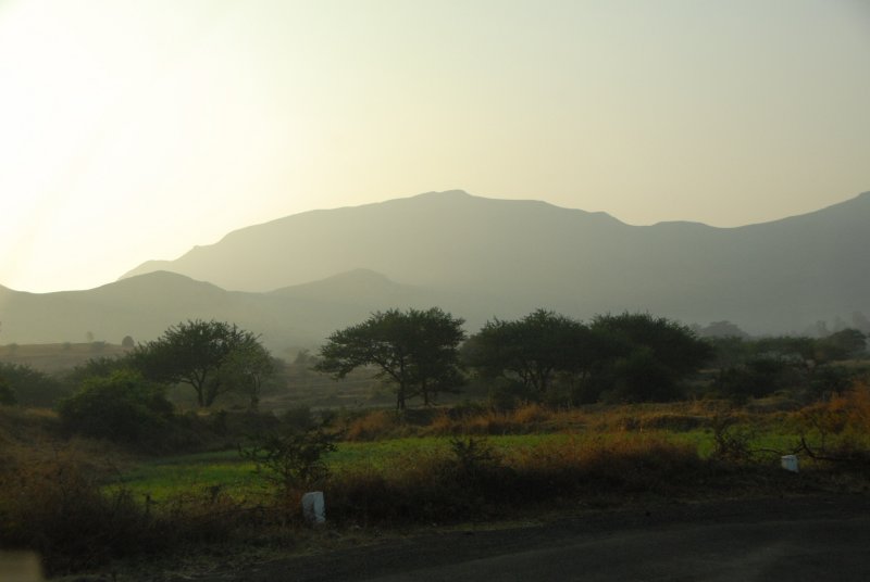 DSC_1246.JPG