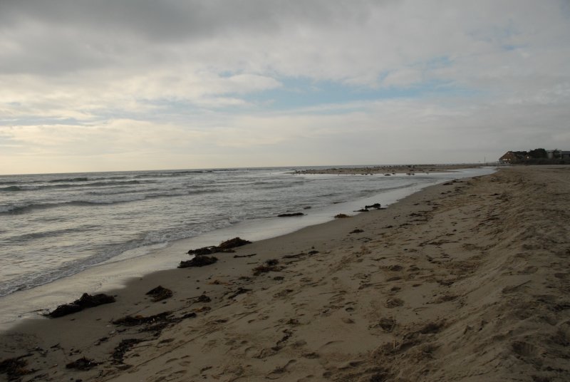DSC_1316.JPG