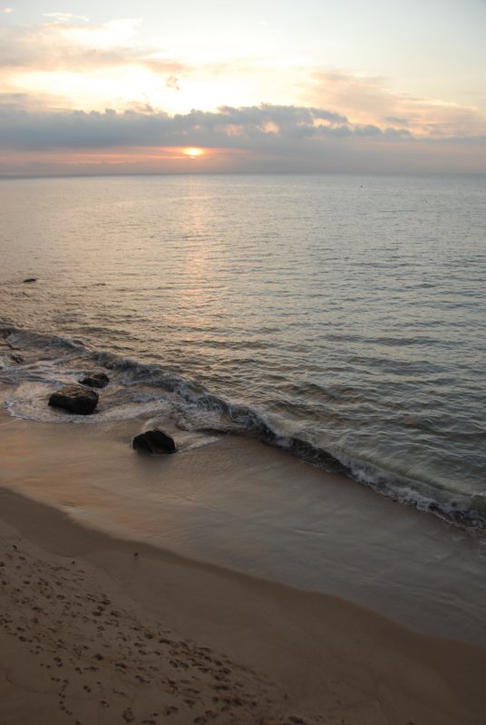 DSC_1301.JPG