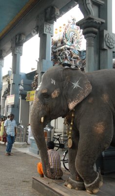DSC_1009.JPG
