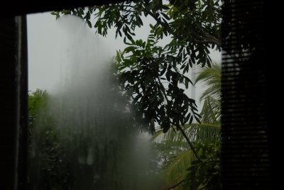 DSC_0966.JPG