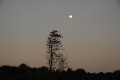 DSC_1154.JPG