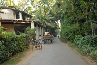 DSC_1157.JPG