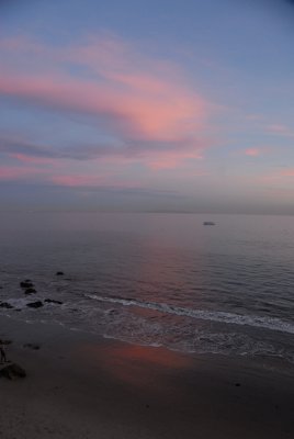 DSC_1299.JPG