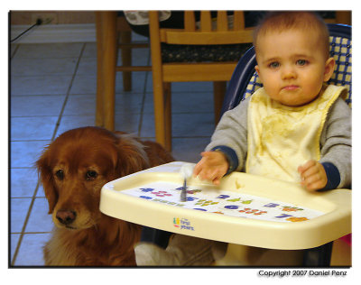 10-25-07 -  Puppy and Dinner