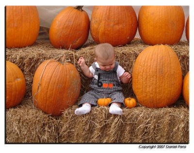 10-07-07 - Its like a Pumpkin, Only Little