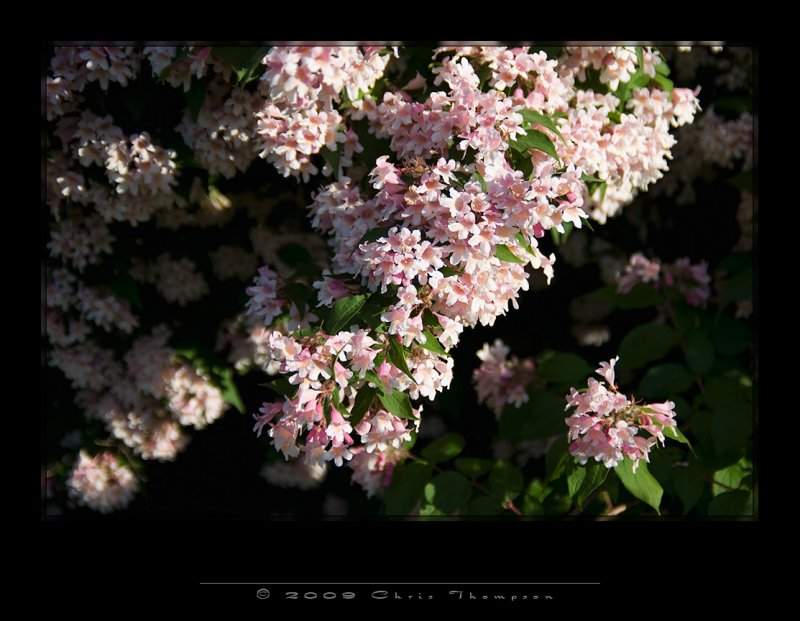 IMG4148 copy.jpg