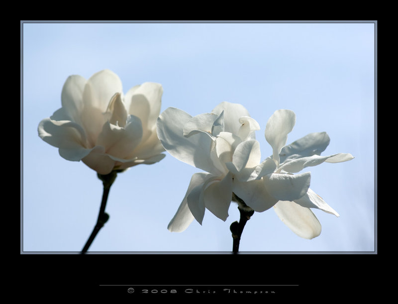 IMG2859 copy.jpg
