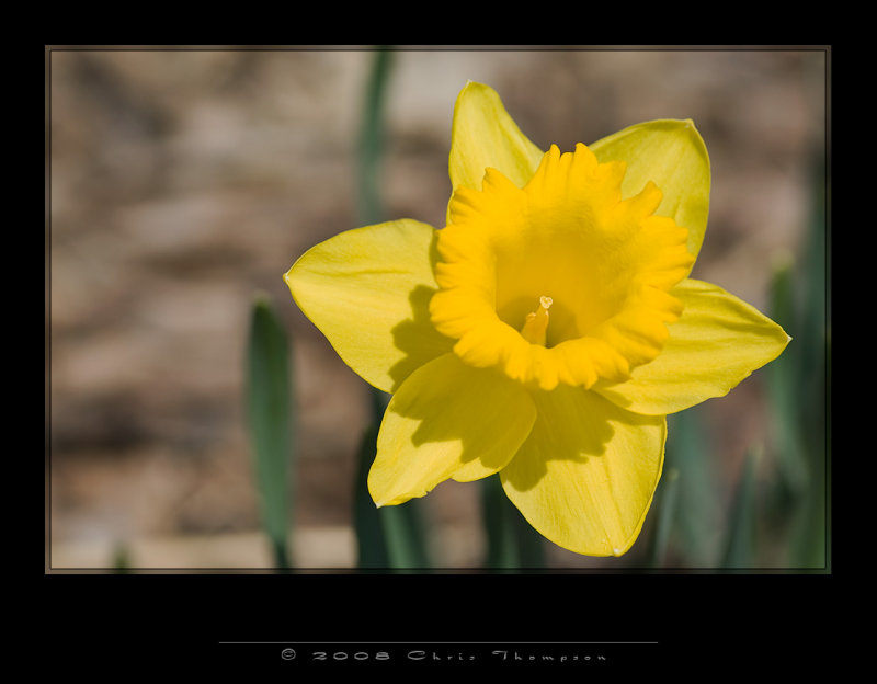 IMG2864 copy.jpg