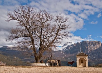 On the way to Aristi, Ioannina, Epirus