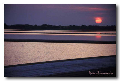 Marais salants Camargue 13