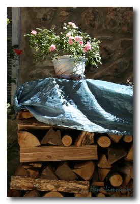 Fleurs sur tas de bois