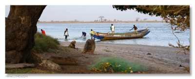 Sénégal - Voyage en Panoramique