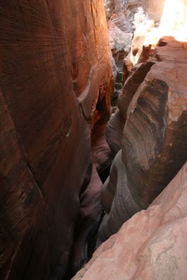 Slot canyon along Observation Point Trail