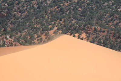 Coral Pink Sand Dunes State Park