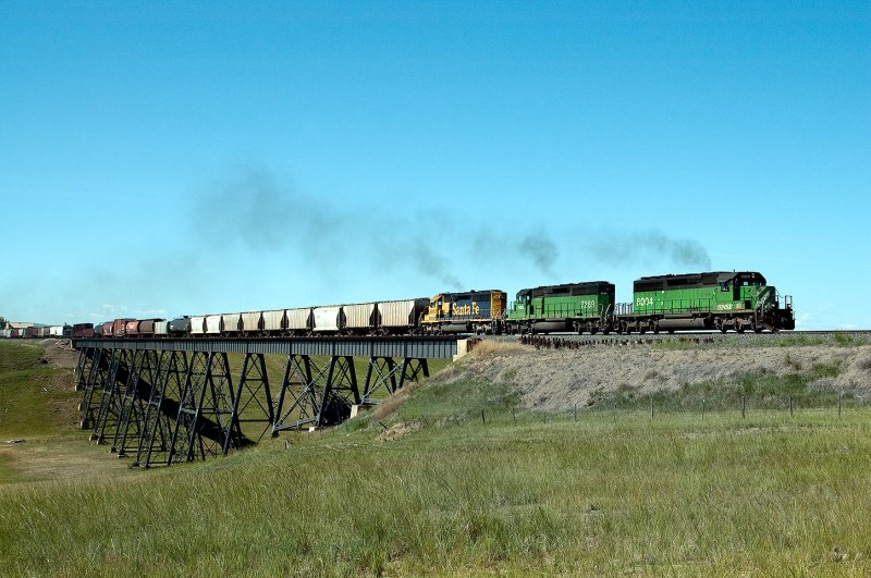 Collins, MT