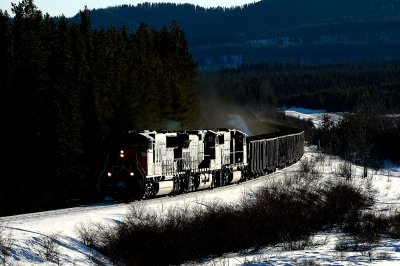 Near Robb, AB