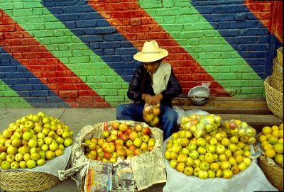 Boy Selling Apples