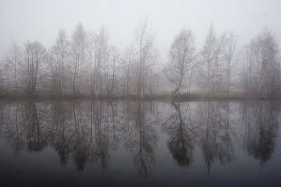 Foggy River