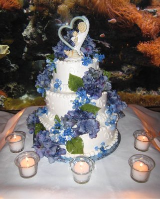 24 the cake.jpg