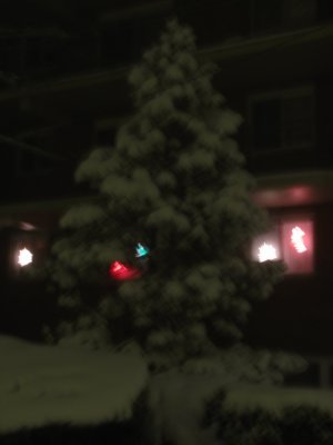 IMG_0772.JPG