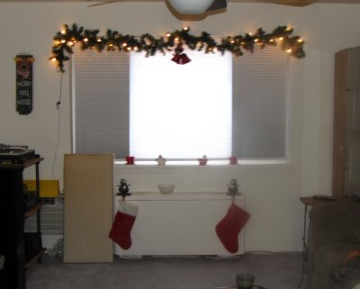 Living Room Window.JPG