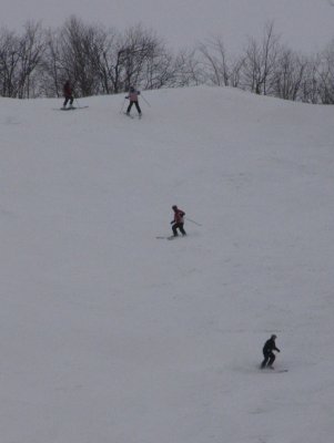 IMG_1000.JPG