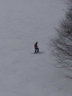 IMG_1003.JPG