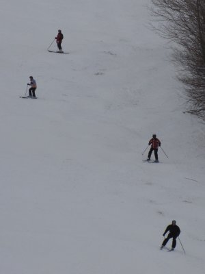 IMG_1011.JPG