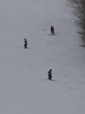 IMG_1012.JPG