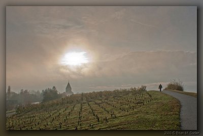 Insel Reichenau 02_hf.jpg