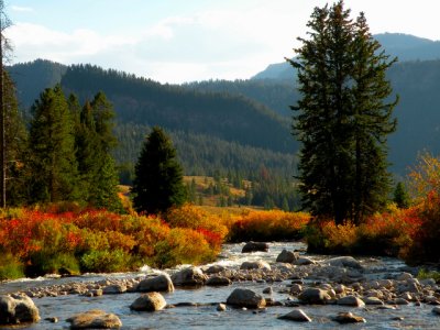Jackson Hole 2008