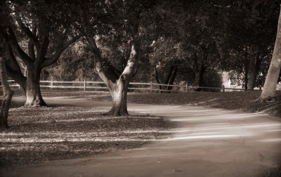 IMG_4954.JPG