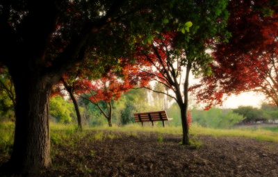 park