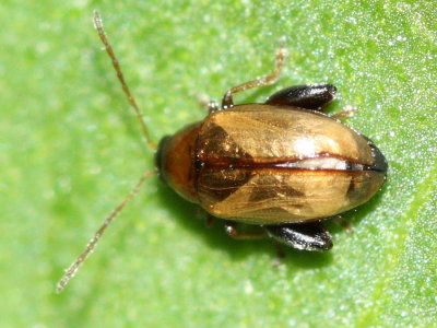 g3/55/932755/3/121067140.PGYVnJa9.jpg
