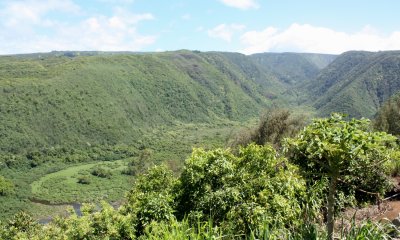 Pololu Valley