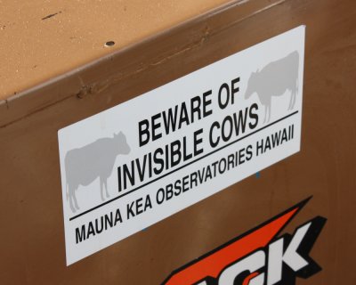 beware invisible cows