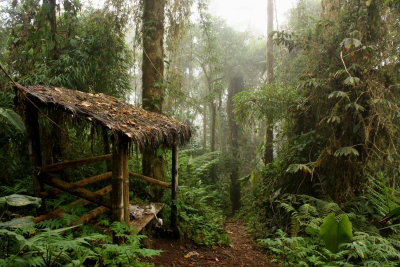 Bellavista Cloud Forest Reserve (2009)