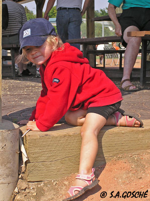 Baseball is boring P1010218bsmall copy.jpg