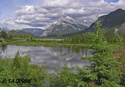 Banff and Area Images