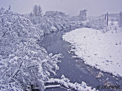 Winters comingPA160024esmall.jpg