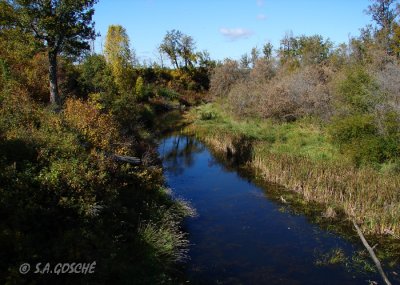 Big Lake and Area St. Albert Images