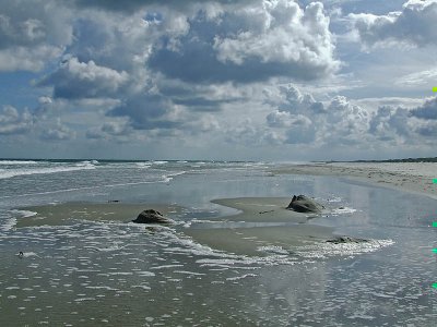 Terschelling (NL)