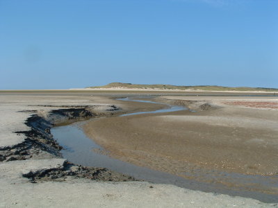 De Slufter - Texel (NL)