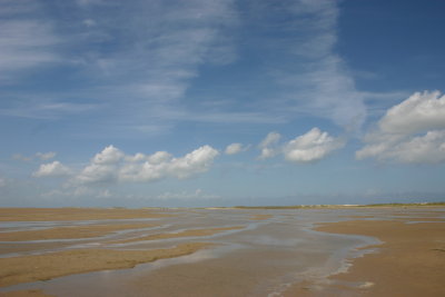 Texel (NL)